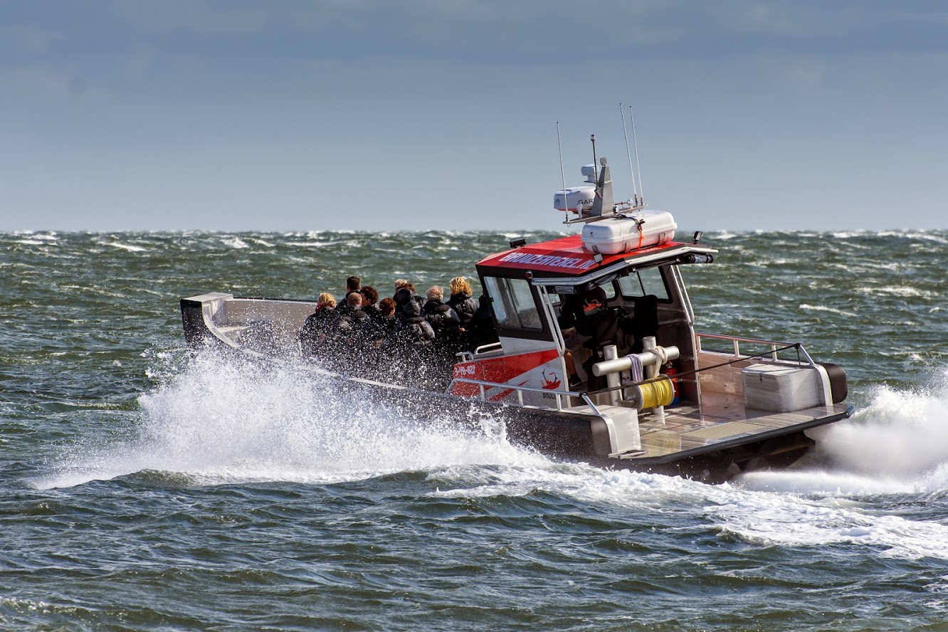 Ribvaren texel